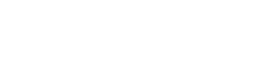 Insaans